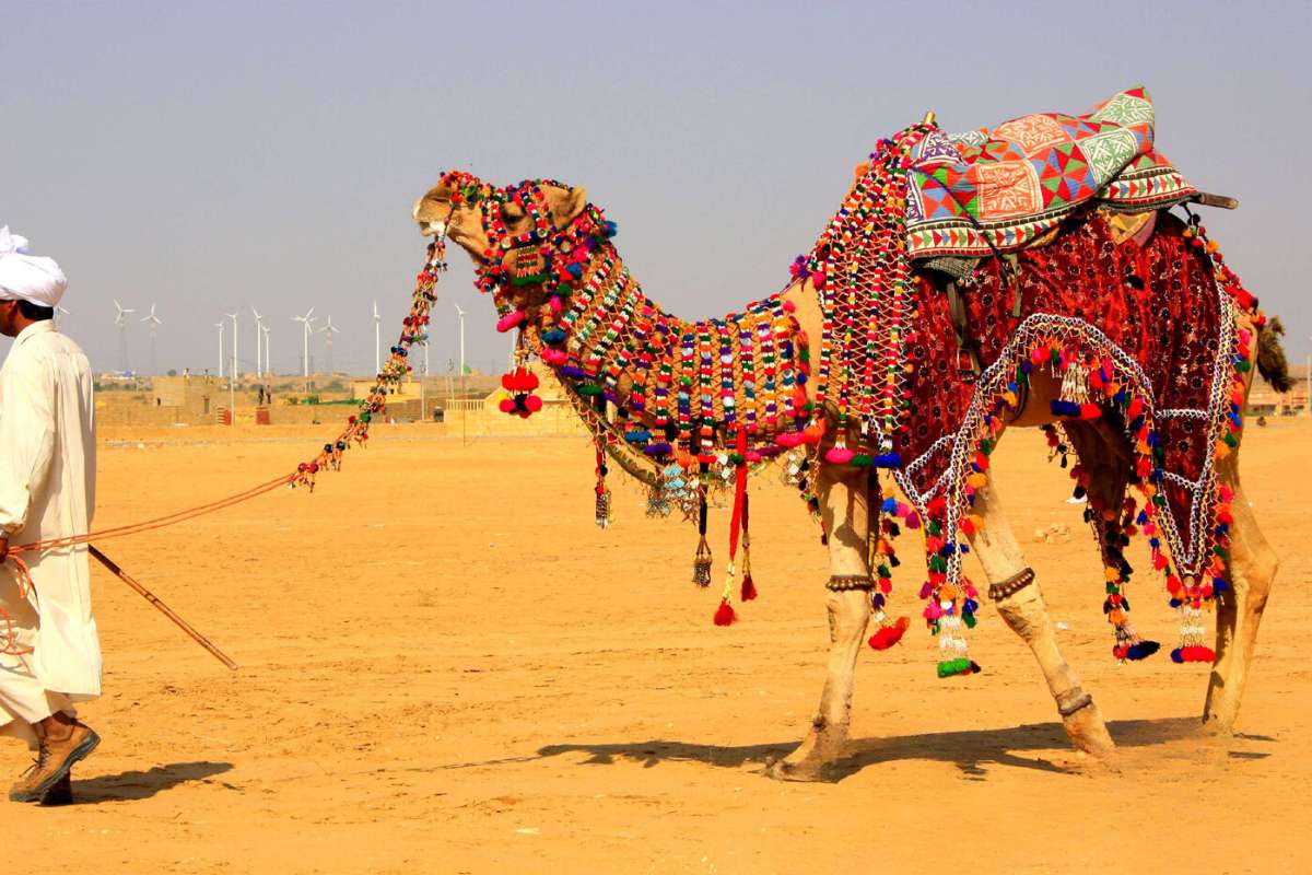 Delhi Agra Jaipur Jodhpur and Pushkar Tour